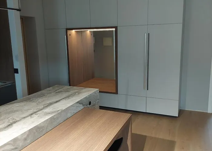 New Flat In Center * ヴィリニュス